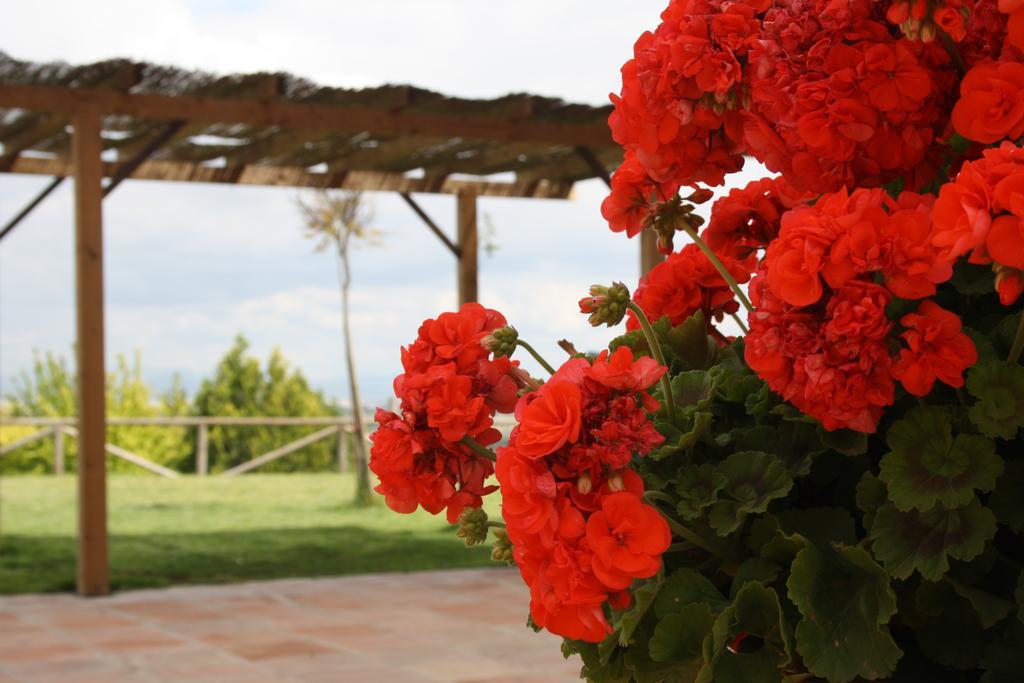 Atalaya De La Campina Hotel Cordoba Luaran gambar